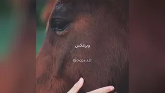 هیچ وقت نا امید نباش