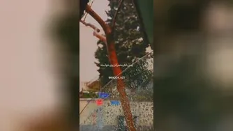 خدایا شکرت