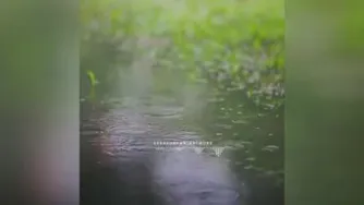 خیلیا دوس دارن عاشق خدا بشن...