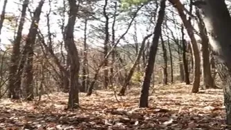 وااای روح الان مثلا این روح بود :|