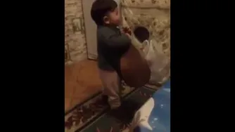 ماشالله چه اهنگیم میزنه