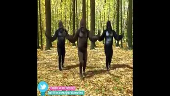 چه جورم قرش میدن