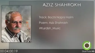 عزیز شاهرخی