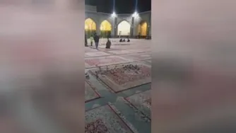 گرفته کبوتر حرم امام رضا توسط گربه