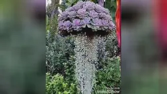 گل وبلبل