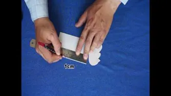 ساخت مرغ مقوایی،حمید پرتوی پور