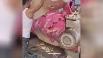 ساخت گوشت مصنوعی وتقلبی