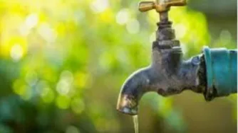 #گاو فهمیده