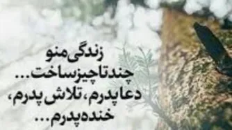 پدر نفس خونه ست...