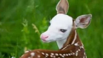 حرکت زیبای این مرد