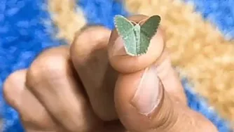 ز هشیارانه عالم هر که را دیدم غمی دارد...