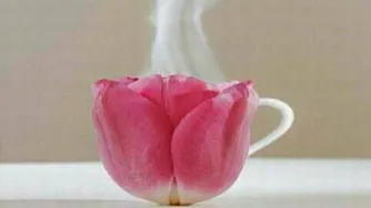 خانه سبار