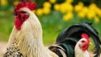 زیر باران باید رفت چشم ها باید شست جوری دیگری باید دید