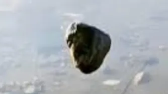 مواظب رانندگی و جاده باشیم