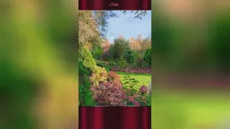 سلام صبح همگی بخیر