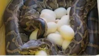 منکه از دیدن ش حالم بد میشه