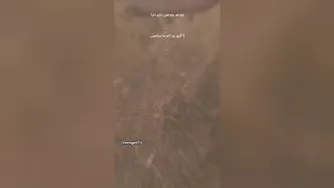 برگ برنده