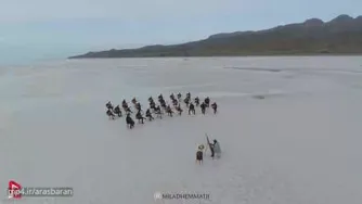 آهنگ جدید
