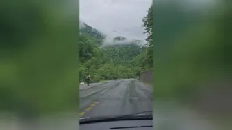 آهنگ جدید