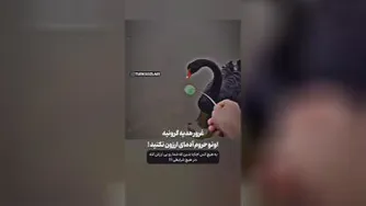 حرف دل