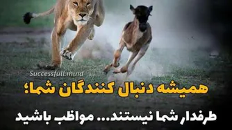 (باید)بدونی نحوه جستجو مجوزهای شرکت چطوریه
