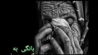 موزیک شادد : دانلود رایگان آهنگ یک شب دلی
