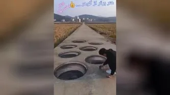 دیدنیها : هنر برتر از گوهر