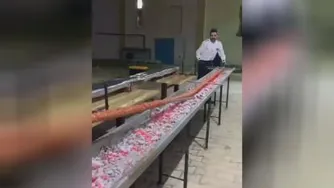 دیدنیها : به این میگند کباب