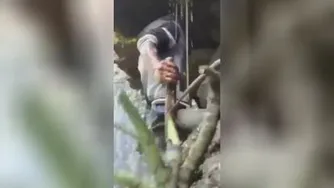 این عسل خوردن داره