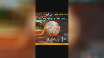 دوباره زنده شدن