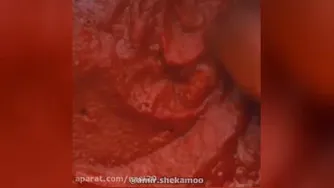 اموزش اشپزی