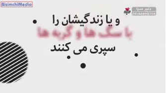 سلبریتی ها