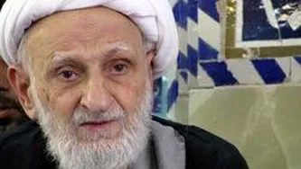 داستان شیعه دانمارکی و آیت الله بهجت