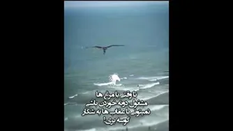 ویدیو انگیزشی درمورد عقابها