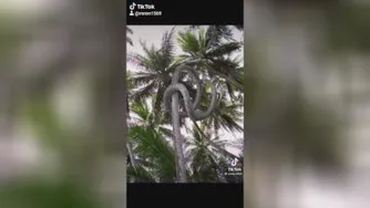 حتما ببینید جالبه