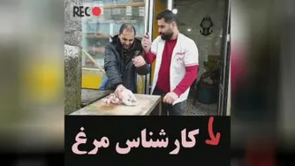 کارشناس مرغ