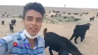 صدای بسیارزیبای آواز چوپان..