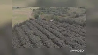 ویلا و زمین فروشی در عباس آباد