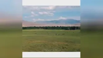 این همه زیبایی همو وطن خودمان است.