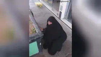 خروس آخرالزمان!