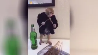 بلای روزگار!