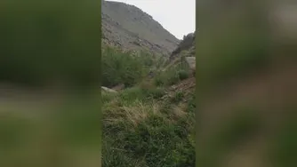 طبیعت(حس خوب)