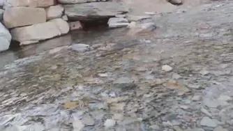 طبیعت گردی