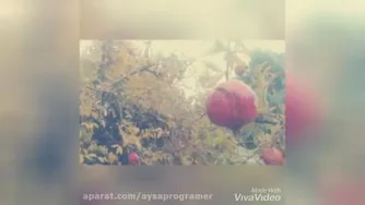 طبیعت پاک