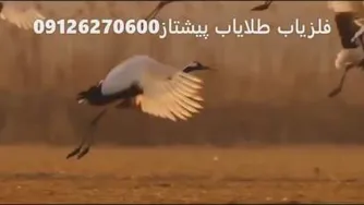 طبیعتی بکر