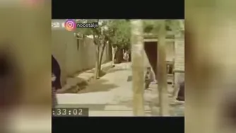 کانال موسیقی