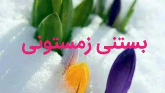 روش درست کردن بستنی زمستونی