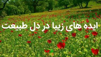 ایده های زیبا در دل طبیعت