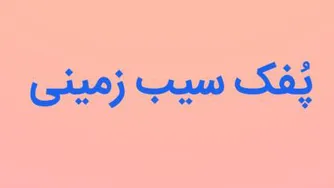 دانلود کلیپ پخت پفک سیب زمینی