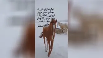 ازدریانترسانم